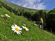 15 Dal bosco usciamo in verde radura prativa